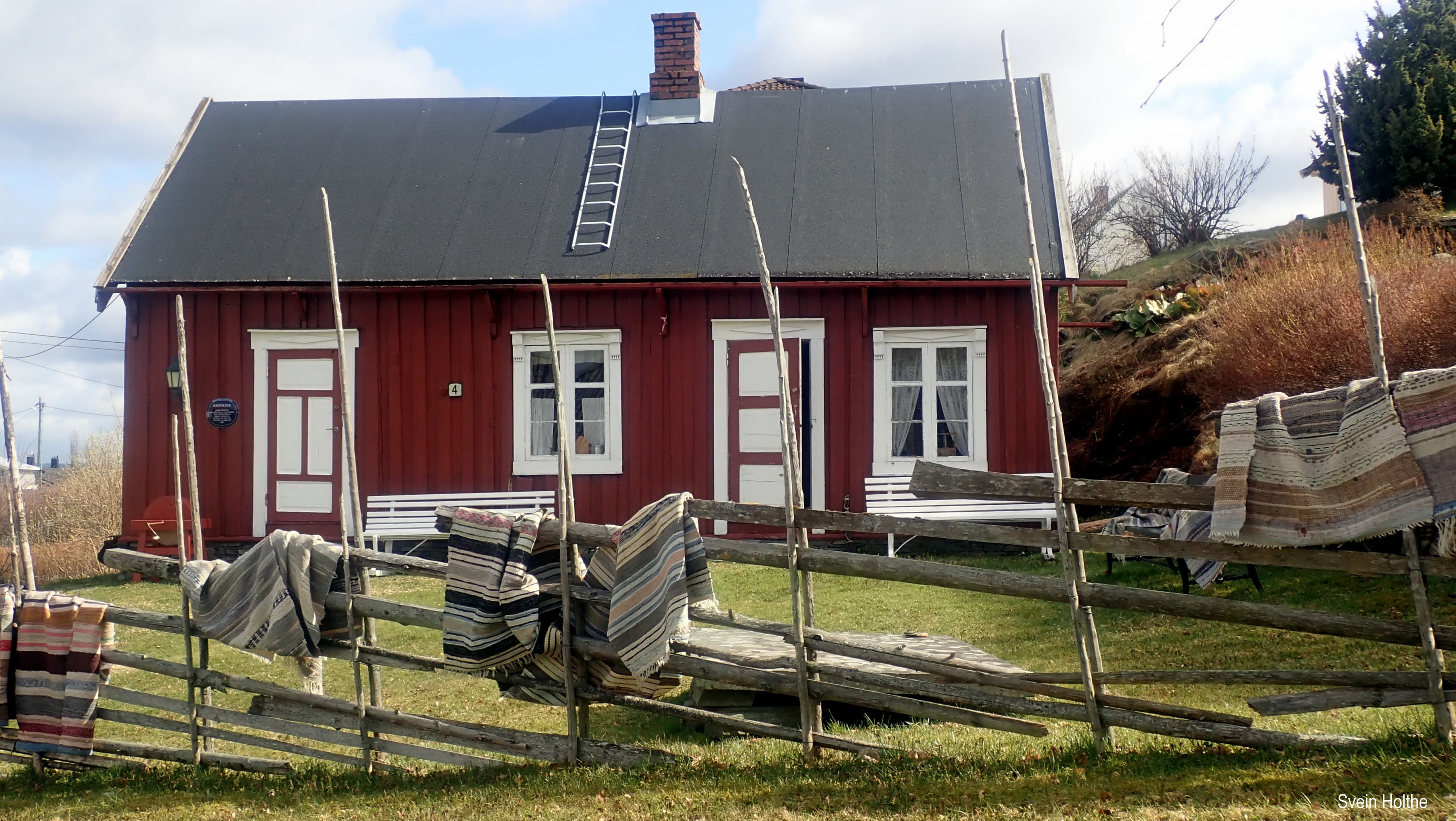 Reinslyst